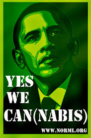 Obama Budget Would Allow D.C. Marijuana Legalization